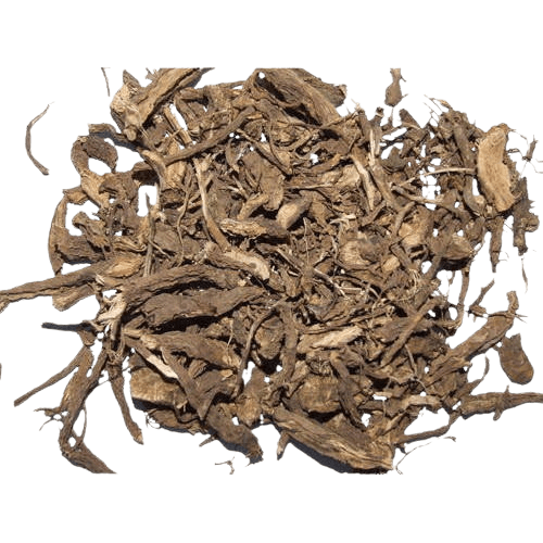 Coleus Forskohlii Extract