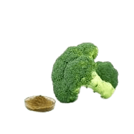 Broccoli Sprout Extract