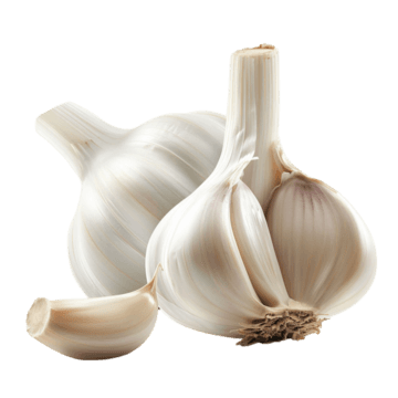 Garlic Extract