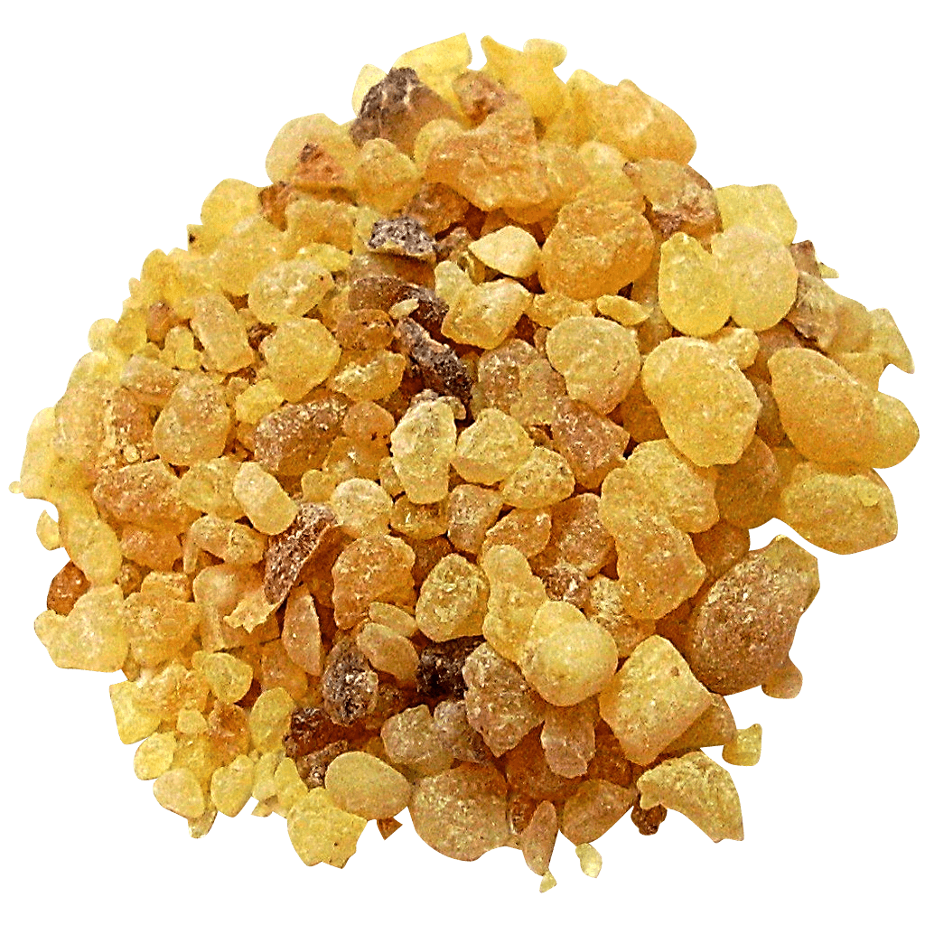 Indian Frankincense