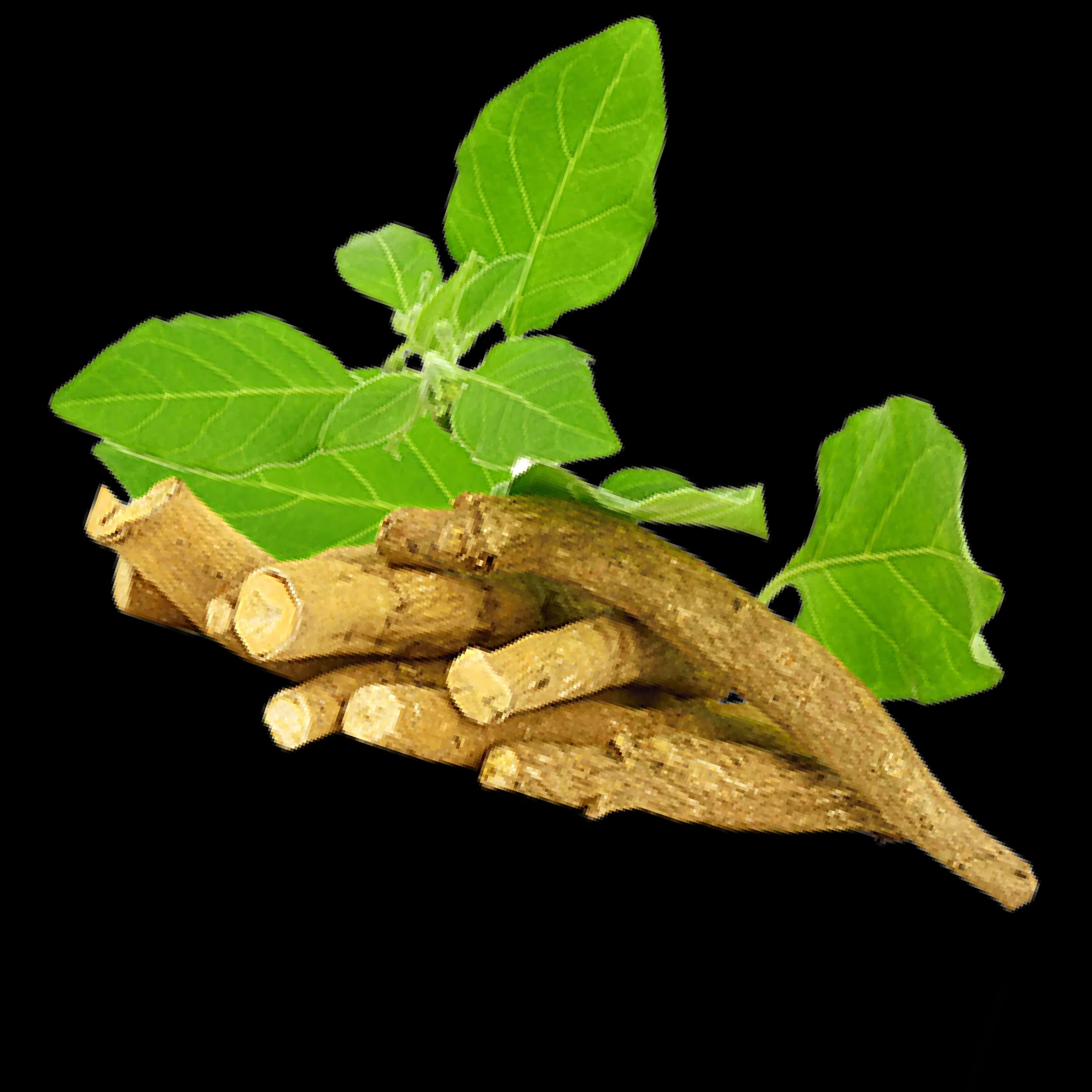 Ashwagandha Root