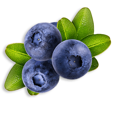 Bilberry Extract
