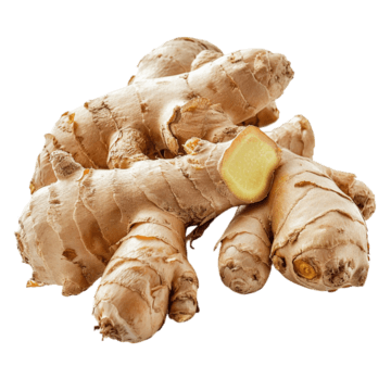 Ginger Root Extract