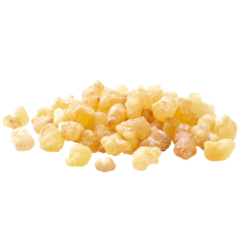 Boswellia Serrata Resin