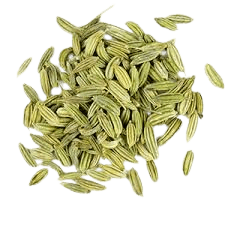 Fennel Seed