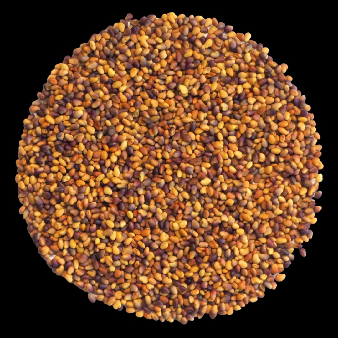 Red Clove