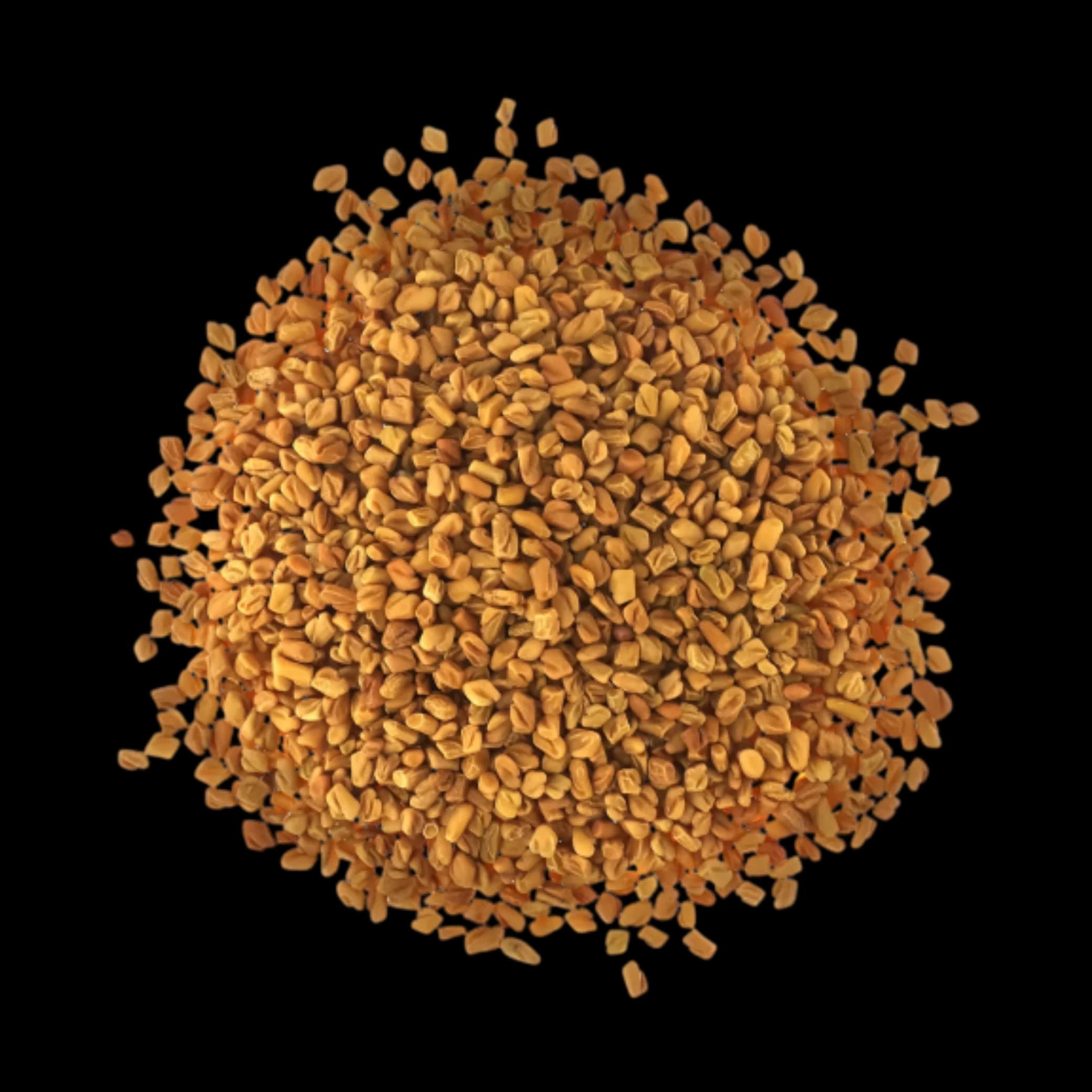 Fenugreek Seed