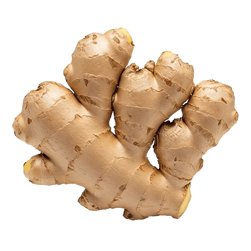 Organic Ceylon Ginger Root