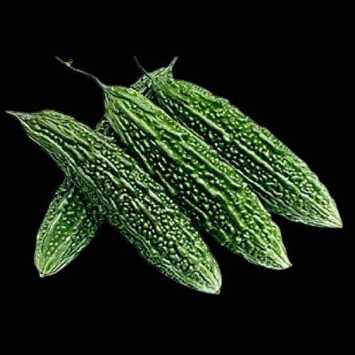 Bitter Melon