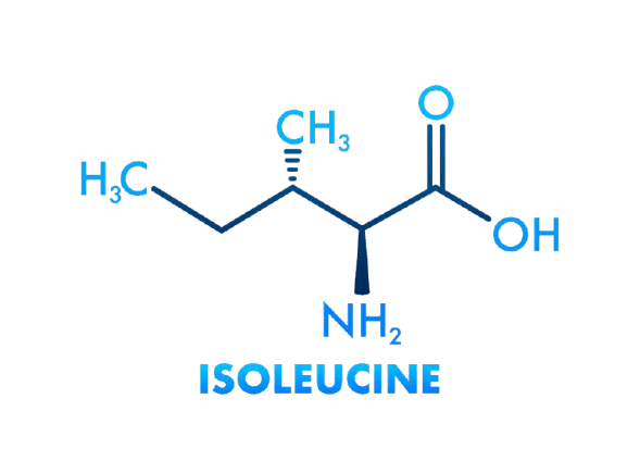 Isoleucine