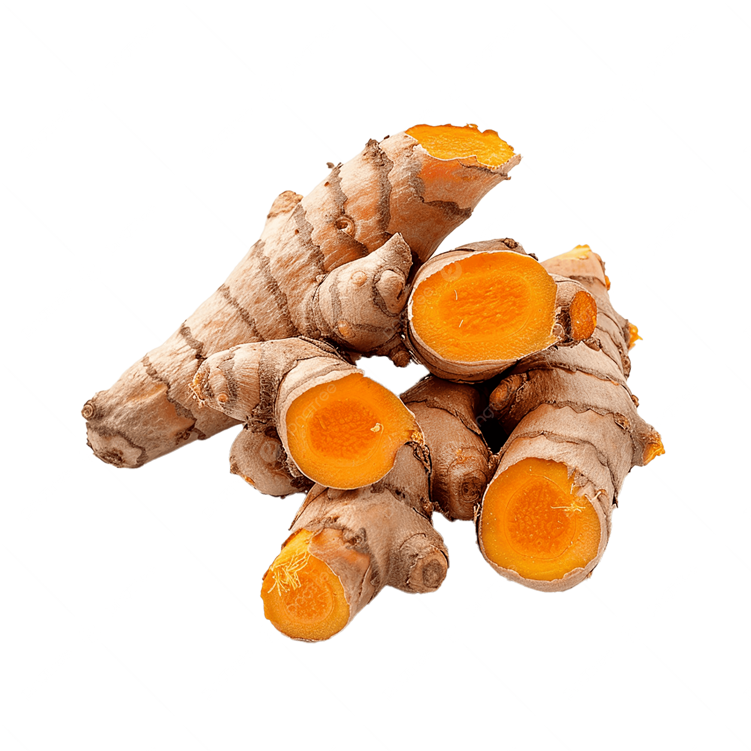 Curcuma longa