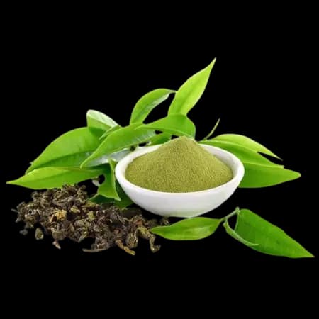 Green Tea Extract