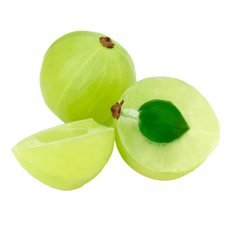 Amla Berry Extract