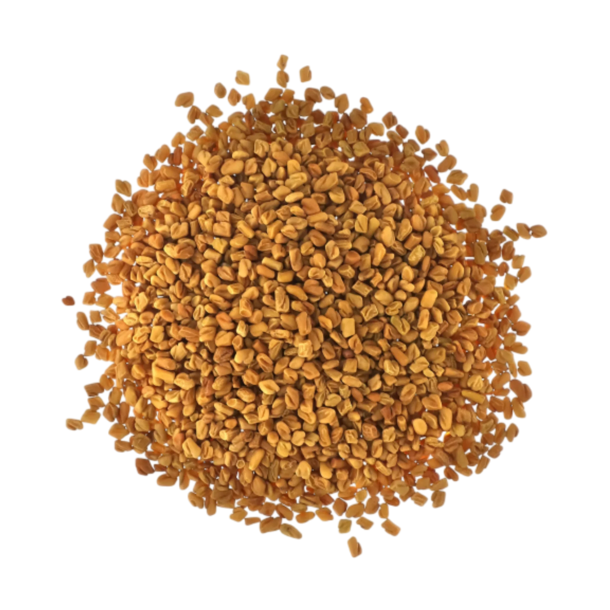 Fenugreek Extract
